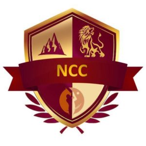 Novartis Cricket Club